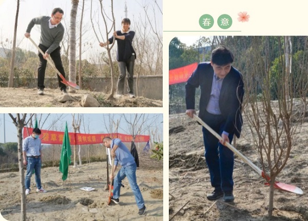 邁安德植樹活動